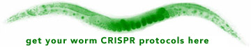 C. elegans CRISPR protocols