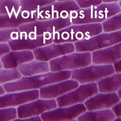 diy microscope images